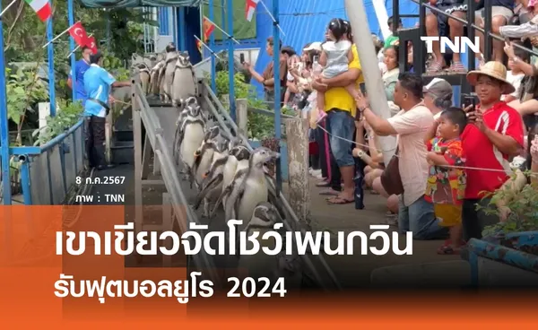 เขาเขียวจัดโชว์เพนกวิน รับฟุตบอลยูโร 2024