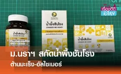 ม.นราธิวาสฯ สกัดน้ำผึ้งชันโรง ต้านมะเร็ง-อัลไซเมอร์  | เรื่องดีดีทั่วไทย