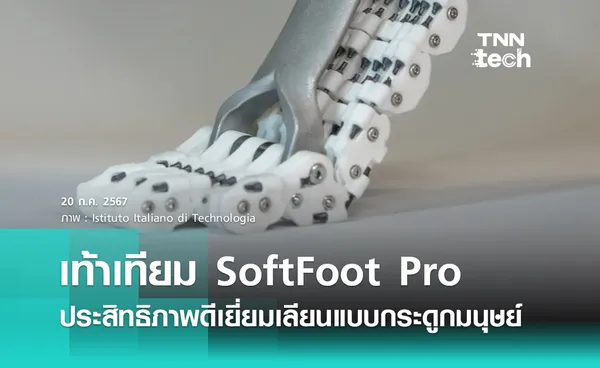 เท้าเทียม SoftFoot Pro ประสิทธิภาพดีเยี่ยมเลียนแบบกระดูกมนุษย์ของจริง