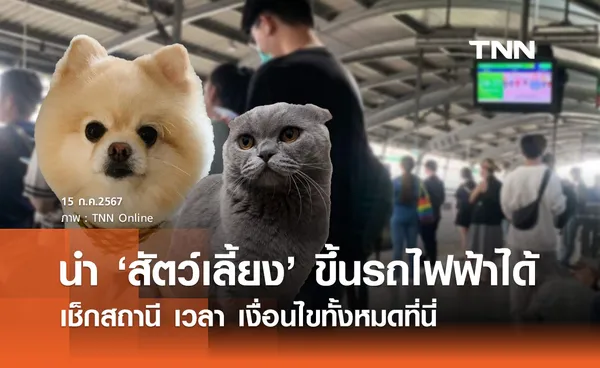 แอร์พอร์ตลิงก์ เปิดบริการพา สัตว์เลี้ยง ขึ้นรถไฟฟ้าได้ เช็กสถานี เวลา เงื่อนไขที่นี่