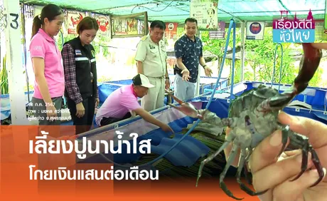 ผู้บริหารผันตัวเลี้ยงปูนาน้ำใส รายได้งาม | เรื่องดีดีทั่วไทย