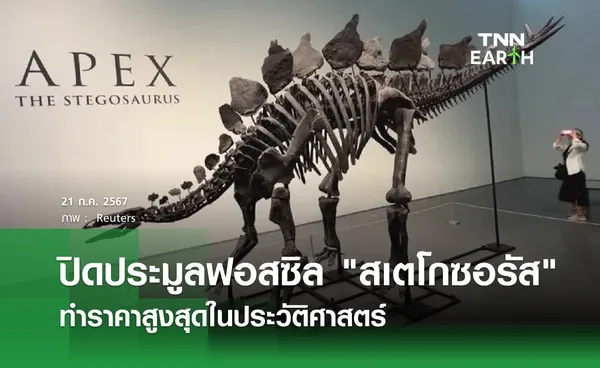 ปิดประมูลฟอสซิล สเตโกซอรัส ทำราคาสูงสุดในประวัติศาสตร์