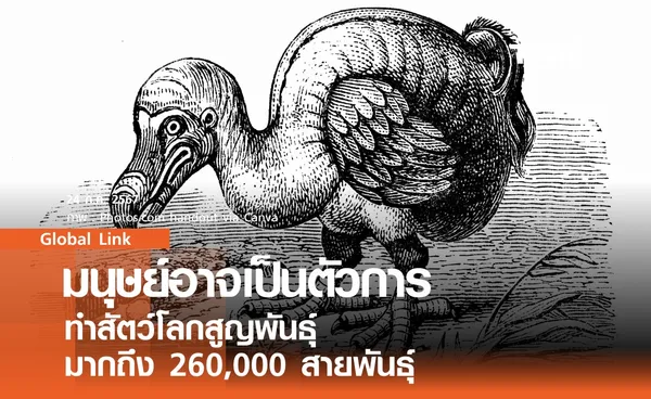 มนุษย์อาจเป็นตัวการ ทำสัตว์โลกสูญพันธุ์ มากถึง 260,000 สายพันธุ์