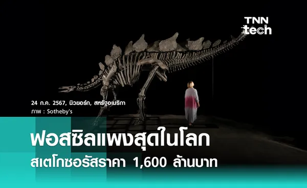 ฟอสซิลแพงสุดในโลก สเตโกซอรัส ราคา 1,600 ล้านบาท