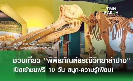 ชวนเที่ยว พิพิธภัณฑ์ธรณีวิทยาลำปาง เปิดเข้าชมฟรี 10 วัน สนุก-ความรู้เพียบ!