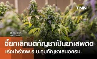 ศุภชัยจี้สธ.ยกเลิกมตินำกัญชากลับเป็นยาเสพติด