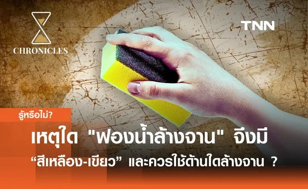 เหตุใด ฟองน้ำล้างจาน จึงมักจะมี “สีเหลือง-เขียว” และควรใช้ด้านใดล้างจาน ? | Chronicles