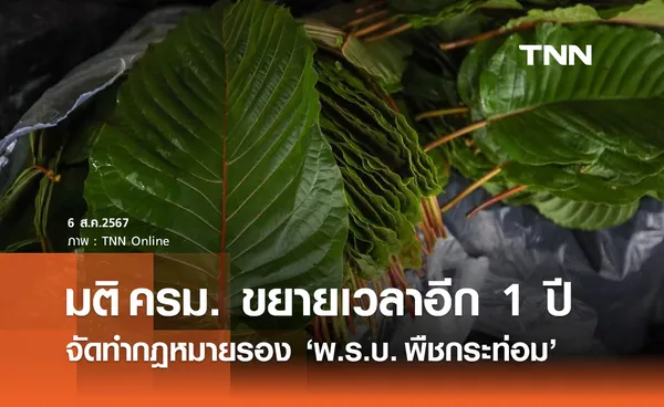 ครม. ขยายเวลาจัดทำกฎหมายลำดับรอง พ.ร.บ.พืชกระท่อม อีก 1 ปี 