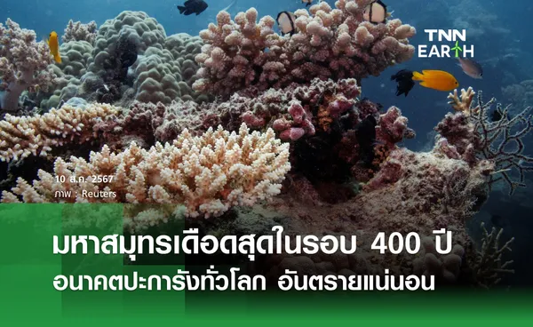 มหาสมุทรเดือดสุดในรอบ 400 ปี อนาคตปะการังทั่วโลก อันตรายแน่นอน