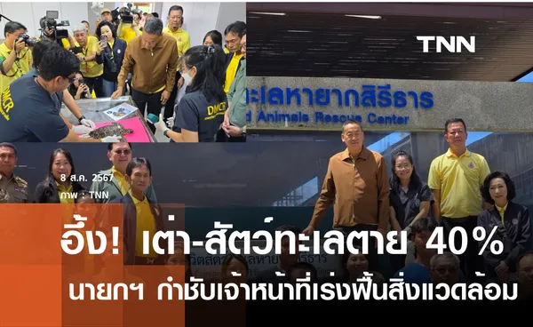 อึ้ง! นายกฯลงภูเก็ต พบเต่า-สัตว์น้ำตายถึงร้อยละ  40