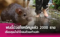 หน้าฝนนี้ป่วยโรคฉี่หนูแล้วเกือบ 2000 ราย 