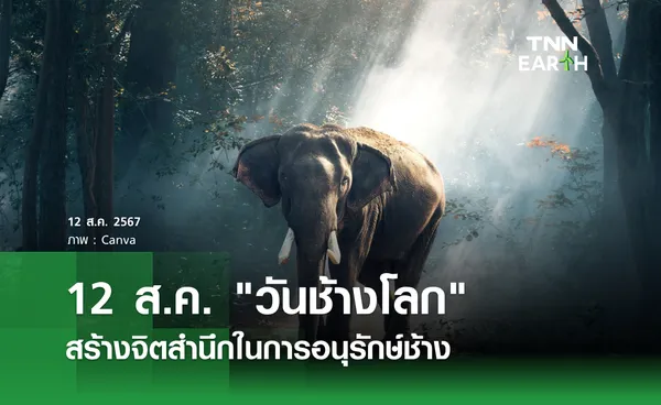 12 สิงหาคม วันช้างโลก สร้างจิตสำนึกในการร่วมอนุรักษ์ช้าง