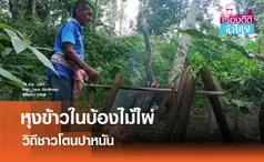 หุงข้าวในบ้องไผ่ ภูมิปัญญาชาวโตนปาหนัน | เรื่องดีดีทั่วไทย