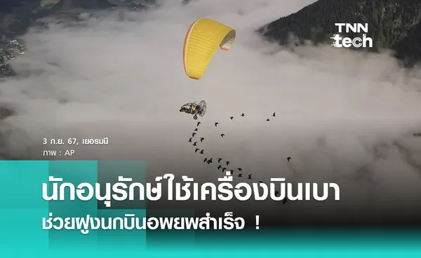 นักอนุรักษ์ใช้เครื่องบินเบา Microlight ช่วยฝูงนกบินอพยพอย่างปลอดภัย