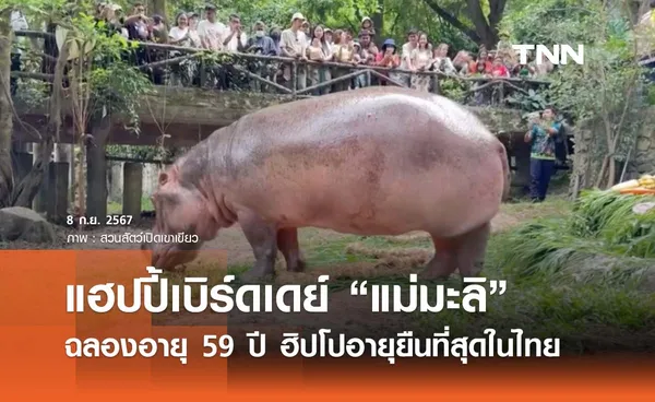 แฮปปี้เบิร์ดเดย์ “แม่มะลิ” ฉลองอายุครบ 59 ปี ฮิปโปอายุยืนที่สุดในไทย 