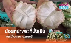 น้อยหน่าพระที่นั่งเย็น ผลไม้โบราณลพบุรี | เรื่องดีดีทั่วไทย