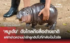 สื่อต่างชาติแห่ทำข่าวลูกฮิปโป หมูเด้ง