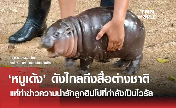 สื่อต่างชาติแห่ทำข่าวลูกฮิปโป หมูเด้ง