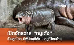 เปิดจักรวาล “หมูเด้ง” เป็นลูกใคร มีพี่น้องทั้งหมดกี่ตัว? 