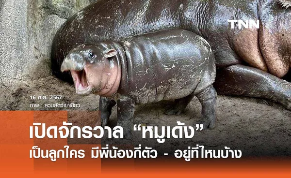 เปิดจักรวาล “หมูเด้ง” เป็นลูกใคร มีพี่น้องทั้งหมดกี่ตัว? 