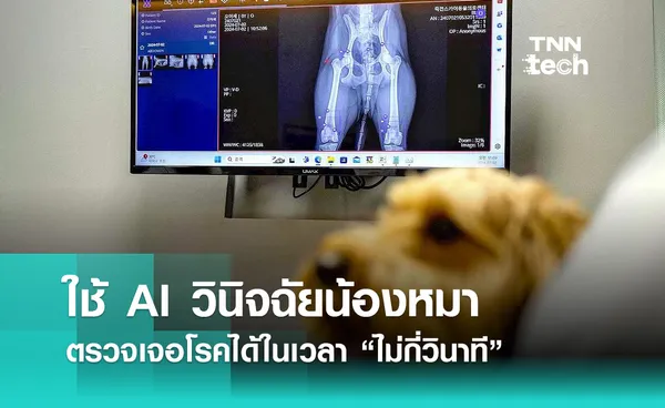 เกาหลีใต้ใช้ AI วินิจฉัยน้องหมา ตรวจเจอโรคได้ในเวลา “ไม่กี่วินาที”