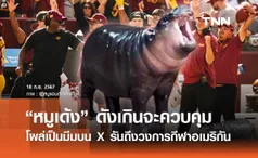 “หมูเด้ง” ดังเกินควบคุม โผล่เป็นมีมใน X  - วงการกีฬาอเมริกันก็เอาด้วย