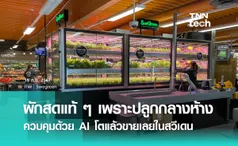 “ผักสด” ปลูกกลางห้างในสวีเดน คุมด้วย AI โตแล้ววางขายได้เลย !