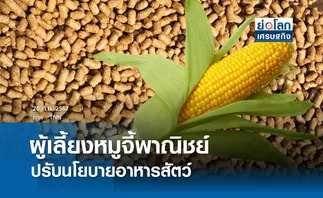 ผู้เลี้ยงหมูจี้ พาณิชย์ปรับนโยบายอาหารสัตว์ | ย่อโลกเศรษฐกิจ