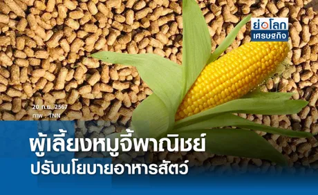 ผู้เลี้ยงหมูจี้ พาณิชย์ปรับนโยบายอาหารสัตว์ | ย่อโลกเศรษฐกิจ