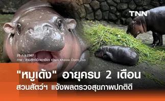 หมูเด้ง ซุปตาร์ฮิปโปแคระ อายุครบ 2 เดือน ผลตรวจสุขภาพปกติดี 