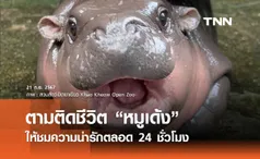 ตามติดชีวิต “หมูเด้ง” สวนสัตว์เปิดเขาเขียว เปิดไลฟ์สตรีมให้ชมความน่ารัก 24 ชั่วโมง