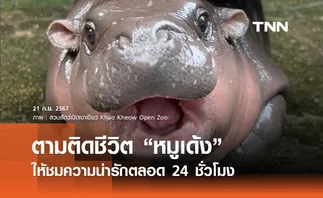 ตามติดชีวิต “หมูเด้ง” สวนสัตว์เปิดเขาเขียว เปิดไลฟ์สตรีมให้ชมความน่ารัก 24 ชั่วโมง