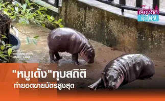 หมูเด้งฟีเวอร์ ทุบสถิติยอดขายบัตรสูงสุด | เรื่องดีดีทั่วไทย