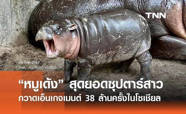 “หมูเด้ง” กวาดเอ็นเกจเมนต์  38 ล้านครั้ง! ได้ TikTok เป็นป๋าดันจนดัง