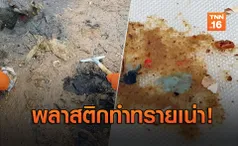 วิกฤตใหม่! ทรายเน่าจากถุงพลาสติก ก่อนกลายเป็นไมโครพลาสติก