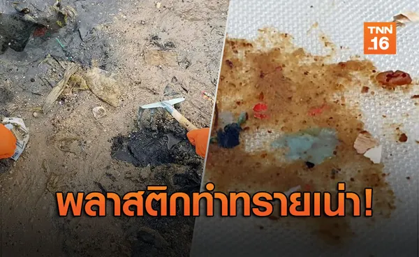 วิกฤตใหม่! ทรายเน่าจากถุงพลาสติก ก่อนกลายเป็นไมโครพลาสติก