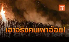 สั่งเข้ม! ห้ามเผาไร่อ้อยและพื้นที่เกษตร ถูกจับจำคุก 7 ปี