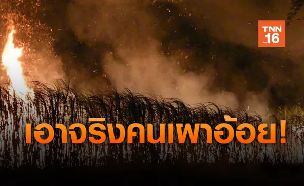 สั่งเข้ม! ห้ามเผาไร่อ้อยและพื้นที่เกษตร ถูกจับจำคุก 7 ปี