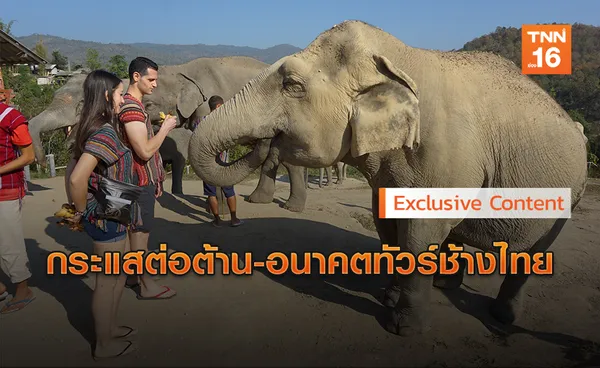 Exclusive Content :Elephant Care Tourismอนาคตท่องเที่ยวช้างไทย