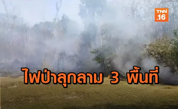 อ่วม! สถานการณ์ไฟป่านครนายก ยังลุกลามต่อเนื่อง (คลิป)