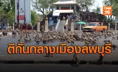 ชาวบ้านตกกะใจ! ลิงยกพวกตะลุมบอนกลางลพบุรี