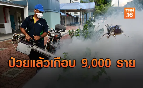 หมอเพจดังเตือนรับมือ ไข้เลือดออก หลังพบป่วยเกือบ 9,000 ราย