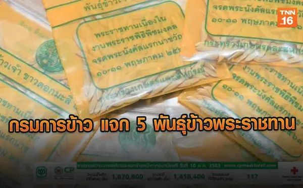 กรมการข้าว แจก 5 พันธุ์ข้าวพระราชทาน เนื่องในวันพืชมงคล l 11/05/63 l TNN ข่าวเที่ยง (คลิป)