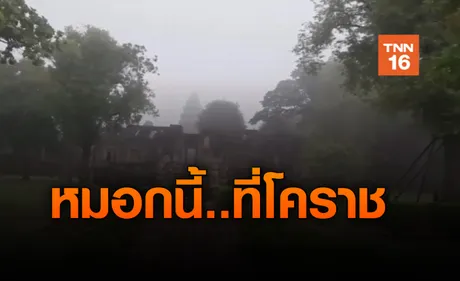 โคราช หมอกลงจัด ทั่วเมืองพิมาย ดอกบัวในบึงบานสะพรั่ง