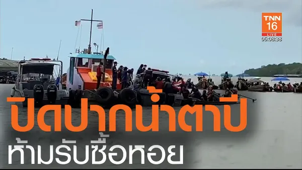 ชาวประมงพื้นบ้านนำเรือปิดปากน้ำตาปี ทางการห้ามรับซื้อหอย l TNN News ข่าวเช้า l 12-06-2020 (คลิป)