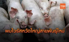 นักวิทย์ พบไวรัสไข้หวัดใหญ่สายพันธุ์ใหม่ในจีน หวั่นระบาดใหญ่ทั่วโลก