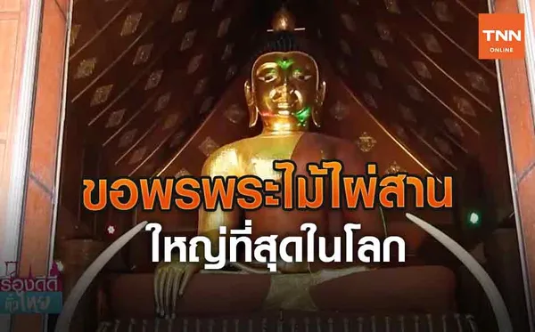 ขอพรพระไม้ไผ่สานใหญ่ที่สุดในโลก | เรื่องดีดีทั่วไทย (คลิป)