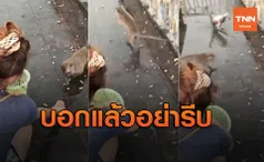 เปิดคลิปสุดขำ!สาวให้ขนมลิง รีบบวกโลภสุดท้ายคว่ำไม่เป็นท่า