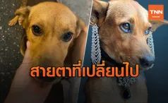 เปิดภาพล่าสุด น้องหมูทะ นับวันยิ่งดูไฮโซ