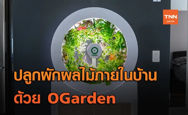 ปลูกผักผลไม้ทานเองภายในบ้านมากกว่า 90 ชนิด ด้วย OGarden